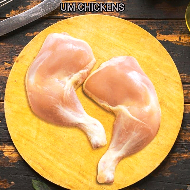 UM CHICKENS